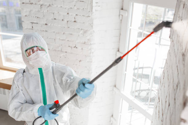 Best Forensic Mold Investigation  in Braham, MN