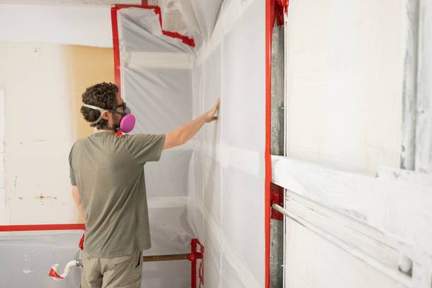Forensic Mold Investigation in Braham, MN