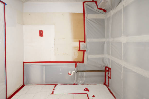 Best Mold Remediation for Vacation Homes  in Braham, MN