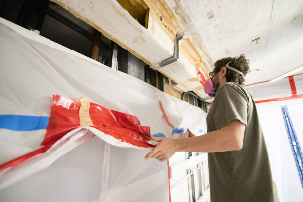 Best Asbestos and Lead Testing During Mold Inspection  in Braham, MN