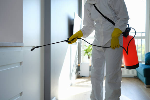 Best Air Quality Testing for Mold Spores  in Braham, MN