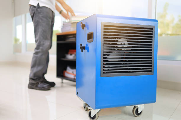 Best Commercial Mold Inspection  in Braham, MN