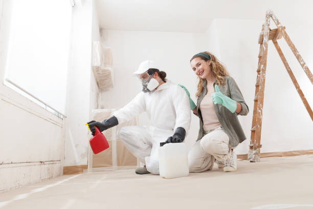 Best Environmental Consulting for Mold Prevention  in Braham, MN